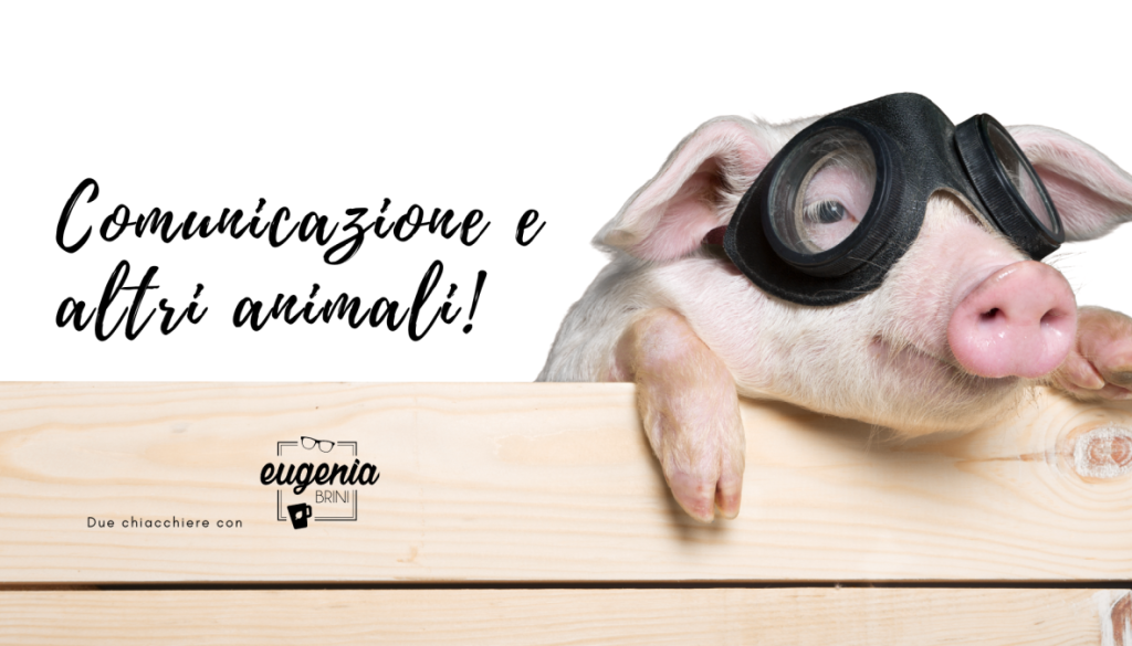 Comunicazione e altri animali