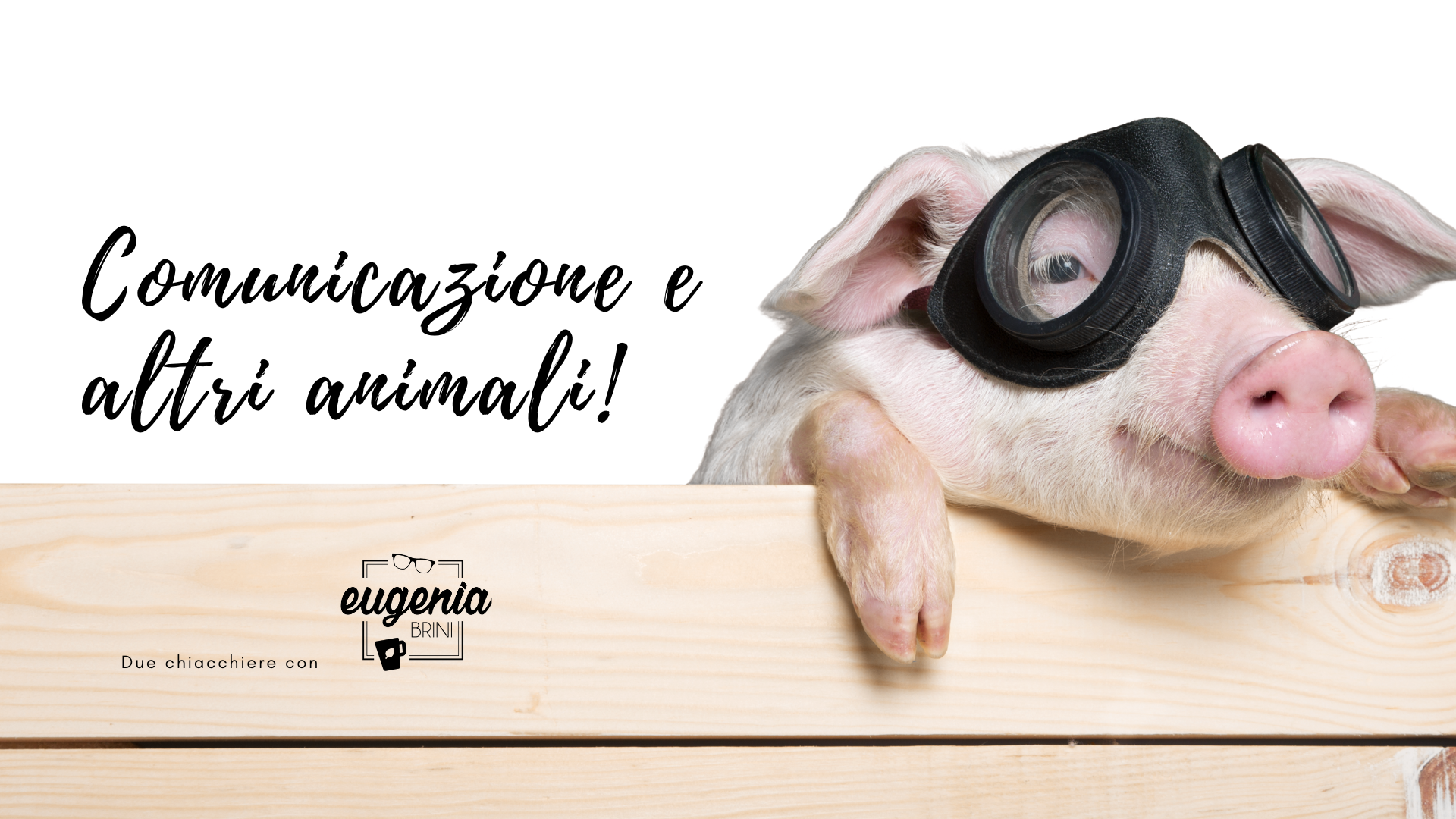 Comunicazione e altri animali